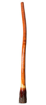 Ironbark Didgeridoo (IB197)